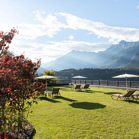Weine im Burggräflerhof