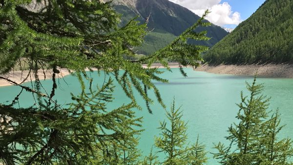 Escursioni a Merano e dintorni