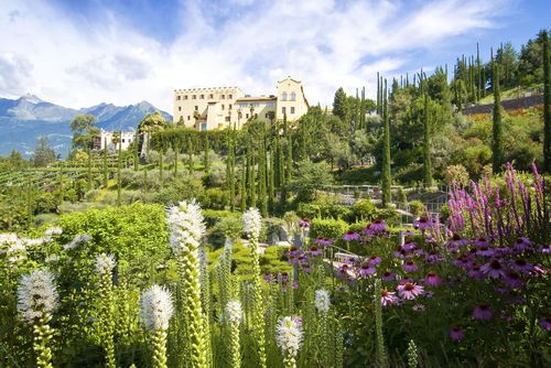 Giardini botanici