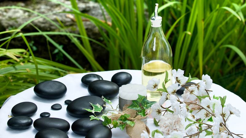 Wellness & SPA
