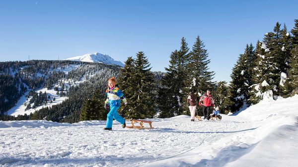 Winteraktivitäten