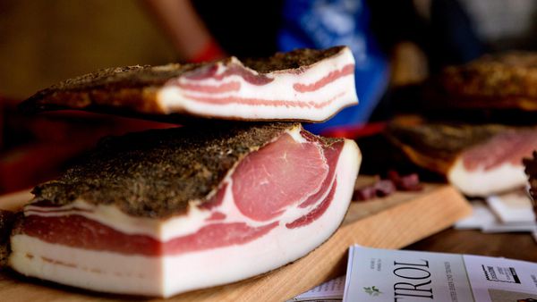 Arte culinaria