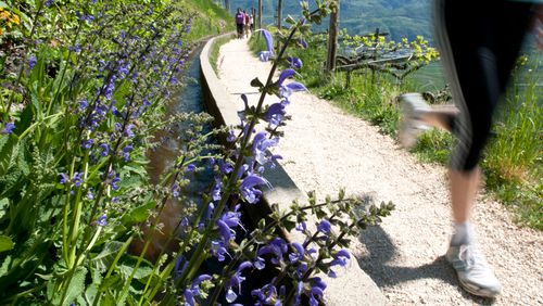 Primavera a Merano e dintorni