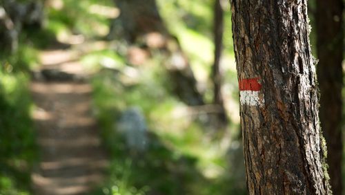 Parco naturale del Gruppo di Tessa