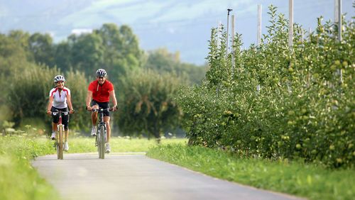 MTB Merano